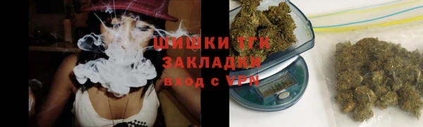 сатива Володарск