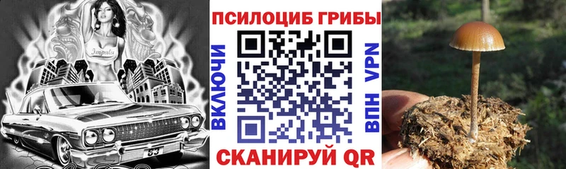 Псилоцибиновые грибы ЛСД  Железногорск-Илимский 